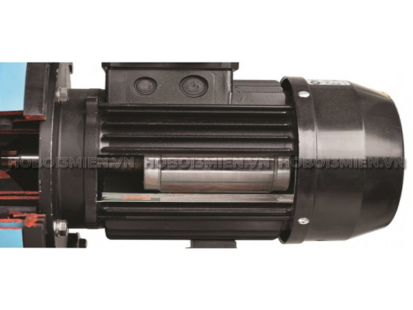 Động Cơ Máy Bơm Nước Bể Bơi Gemas