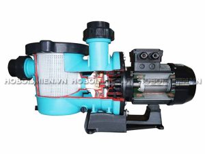 Máy Bơm Nước Bể Bơi 1 HP