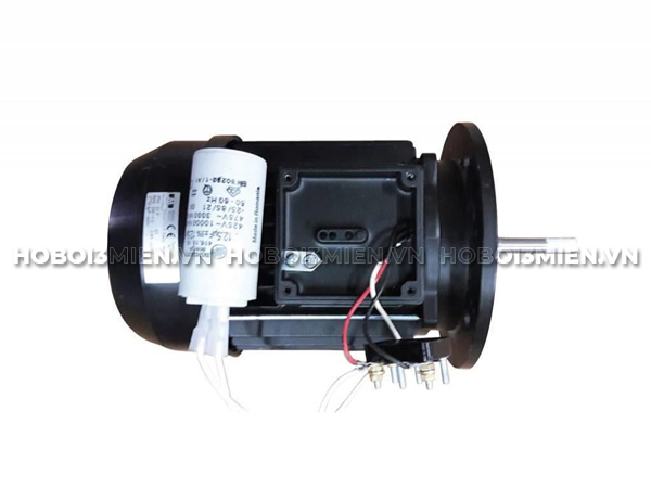 Motor Máy Bơm Hồ Bơi Gemas