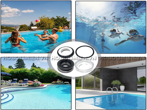 Phớt Bơm Bể Bơi Gemas